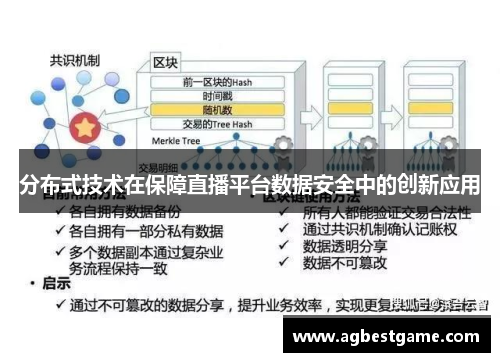 分布式技术在保障直播平台数据安全中的创新应用